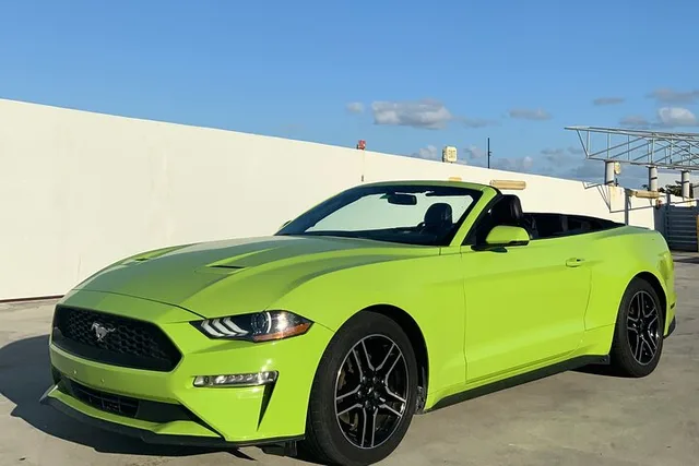 Miami Mustang Convertible Rental - Image 3