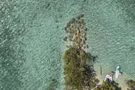 Miami Wildlife Cruise and Raccoon Island Walk thumbnail 4