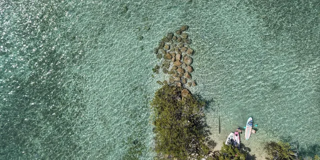 Miami Wildlife Cruise and Raccoon Island Walk - Image 4