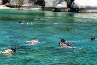 Hilo Snorkeling Tour with Nature Walk thumbnail 1