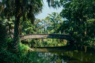 New Orleans Creole Culture Tour thumbnail 6