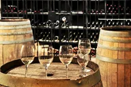 San Francisco Wine Tour with Local Expert thumbnail 6