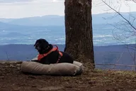 Charlottesville Off-Road Jeep Tour thumbnail 3
