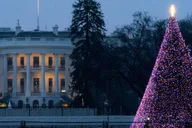 Washington DC Holiday Walking Tour with Hot Cocoa thumbnail 6