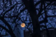 Boston Haunted Ghost Tour After Dark thumbnail 5