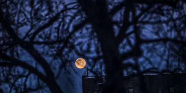 Boston Haunted Ghost Tour After Dark - Image 5