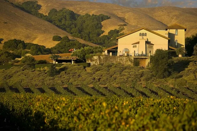 San Francisco Muir Woods & Napa Private Wine Tour 8 hr - Image 2