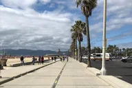Santa Monica Venice Beach Bike Tour thumbnail 6