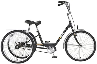 New York City Adult Tricycle Rental