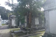 New Orleans Garden District Tour thumbnail 3
