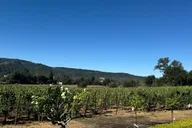 Napa Valley Wine Tour with Private Car Service thumbnail 5