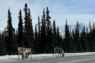 Fairbanks Extreme Cold Clothing Package thumbnail 5