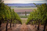 Seattle Wine Tasting Tour in Eastern WA thumbnail 5