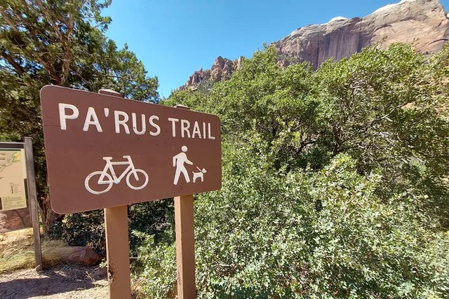 Zion National Park E-Bike Tour - Image 6