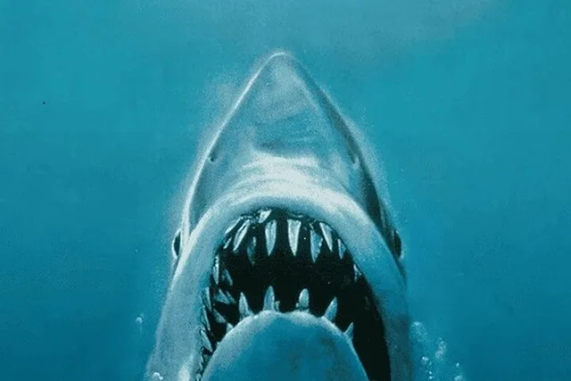 Martha's Vineyard Jaws Tour - Image 2