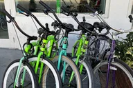 Miami Bicycle Rental thumbnail 4