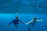 Kauai Niihau and Na Pali Coast Snorkel Boat Tour thumbnail 5