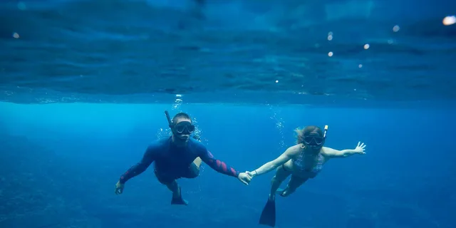 Kauai Niihau and Na Pali Coast Snorkel Boat Tour - Image 5