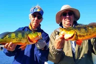 Miami Peacock Bass Fishing Tour 4 hr thumbnail 6