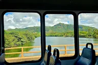 Kauai Hop-On Hop-Off Bus Tour 1 hr thumbnail 4