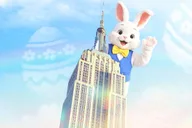 New York Empire State Building Observation Deck thumbnail 5