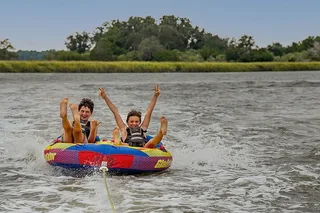 Hilton Head Tubing and Dolphins Tour 2.5 hr