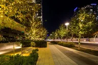 Dallas Holiday Dining Experience thumbnail 6