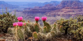Las Vegas Grand Canyon and Antelope 7-Day Tour