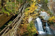 Boston Fall Foliage Day Trip to White Mountains thumbnail 3