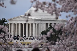 Washington DC Cherry Blossom Bus Tour