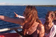 Maalaea Whale Watching Catamaran Cruise with Drinks thumbnail 2