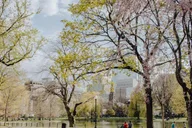 Boston US East Coast Multi-day Tour thumbnail 6