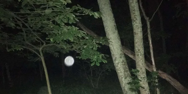 St. Augustine Paranormal Investigation Tour Evening 2 hr - Image 5
