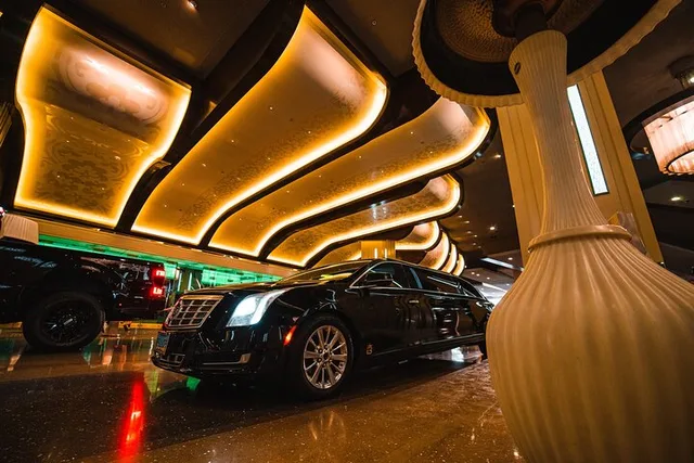 Private Limousine Transfer in Arrival - Image 2