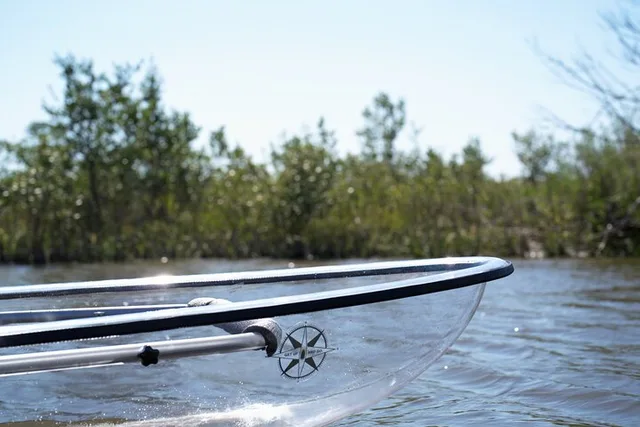 Flagler County Glass Bottom Eco Tour - Image 1