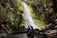 Olympic Peninsula Scenic Tour thumbnail 6