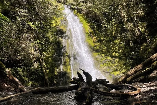 Olympic Peninsula Scenic Tour - Image 6