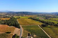 San Francisco Russian River Valley Wine Tour thumbnail 2