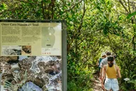 Miami Everglades Airboat Ride and Nature Walk thumbnail 2