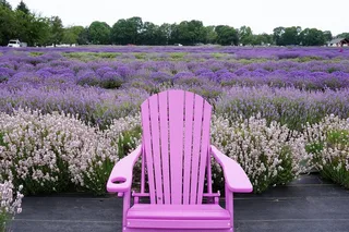 New York Farm and Outlet Shopping Tour
