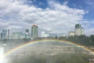 Niagara Falls USA Tour from Washington D.C. 2-Day thumbnail 3