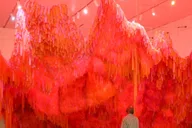 Scottsdale Wonderspaces Arizona Admission thumbnail 1