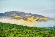 Sonoma and Napa Valley Self-Guided Audio Driving Tour thumbnail 3