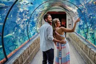 Las Vegas Shark Reef Aquarium Entry thumbnail 3