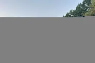 New York Central Park Horse Carriage Ride thumbnail 5