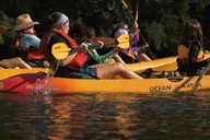North Miami Beach Eco Kayak or Paddleboard Tour thumbnail 1