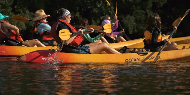 North Miami Beach Eco Kayak or Paddleboard Tour - Image 1