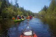 Jacksonport Wetlands Kayak Tour thumbnail 2