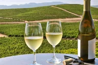 Napa Valley Wine Tasting Tour via San Francisco Ferry thumbnail 1