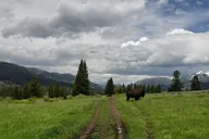 Gardiner Yellowstone National Park Guided Hike 5 hr thumbnail 6